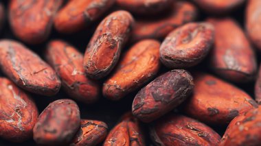Zengin dokularını ve koyu kahverengi tonlarını vurgulayan Macro kakao çekirdekleri.