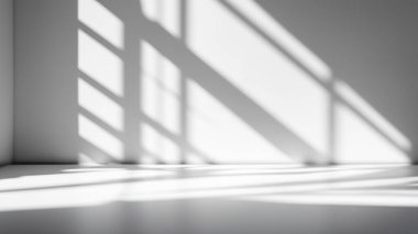 Güneş Işığı ve Geometrik Gölgeli Minimalist Beyaz Stüdyo