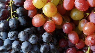 Canlı Çeşitli Üzümler Yakın Çekim ResmiComment