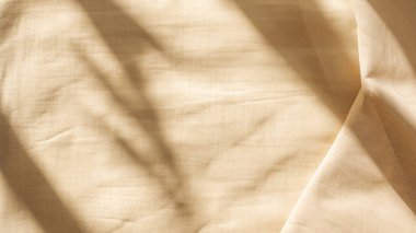 Doğal Aydınlık ve İnce Gölgeli Bej Keten Kumaş