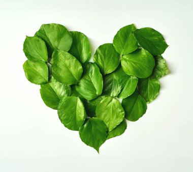 Kalp Şeklinde Yeşil Yığılmış Yapraklar Beyaz İzole Arkaplanda