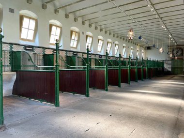 Hollanda Apeldoorn 'daki Het Loo Sarayı' nda Kraliyet Atı Ahırları