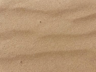 Hollanda Kum tepelerinden İnce Kum Dalgalanması Dokuları Üst Görünüm Arkaplanından Görüldü