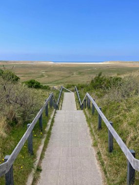 Texel Adası 'ndaki De Slufter Gözcüsüne giden yol. Temiz Mavi Gökyüzü ve Hollanda' daki Kumullar.
