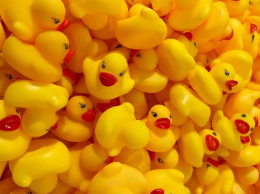 Maastricht, Limburg 'daki Rubber Duck Store' da Plush Yellow Ducks Duvar Görüntüsü