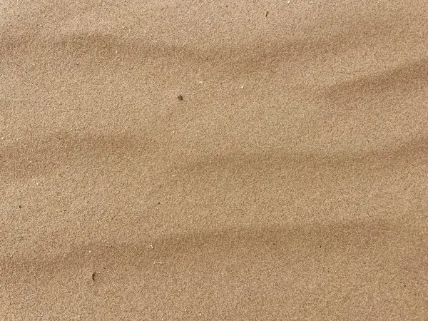 Hollanda Kum tepelerinden İnce Kum Dalgalanması Dokuları Üst Görünüm Arkaplanından Görüldü