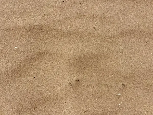 Hollanda Kıyı Kum Kum Kum Kum Kıtlarının Doğal Işıktaki Yakın Çekimi