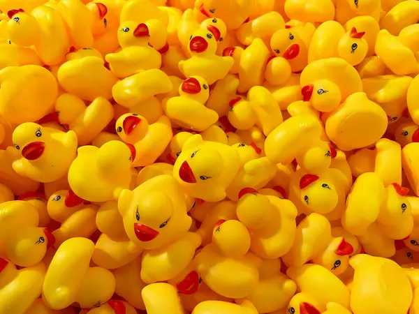 Maastricht, Limburg 'daki Rubber Duck Store' da Plush Yellow Ducks Duvar Görüntüsü