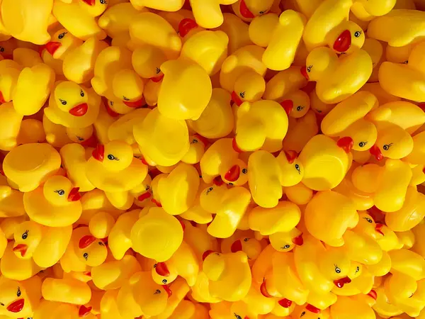 Maastricht, Limburg 'daki Rubber Duck Store' da Plush Yellow Ducks Duvar Görüntüsü