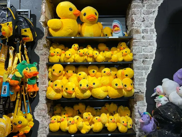Maastricht, Limburg 'daki Rubber Duck Store' da Plush Yellow Ducks Duvar Görüntüsü