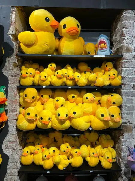 Maastricht, Limburg 'daki Rubber Duck Store' da Plush Yellow Ducks Duvar Görüntüsü