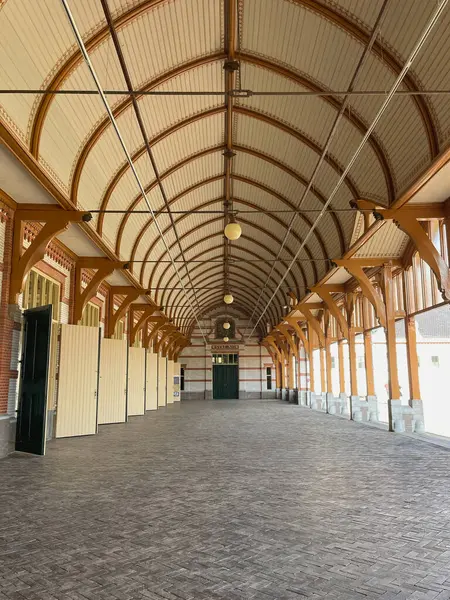 Maastricht, Limburg 'daki Rubber Duck Store' da Plush Yellow Ducks Duvar Görüntüsü