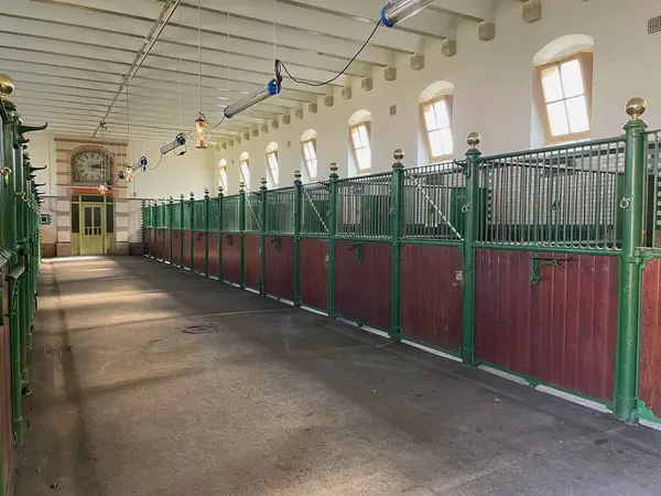 Maastricht, Limburg 'daki Rubber Duck Store' da Plush Yellow Ducks Duvar Görüntüsü