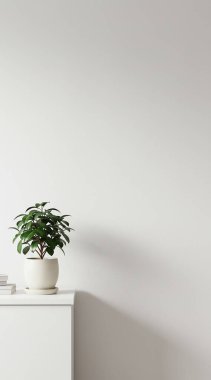 Minimum ev iç tasarımı. 3D görüntüleme. 3d illüstrasyon