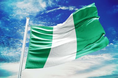 Metnin için kopyalama alanı olan Nijerya bayrağı - 3 boyutlu illüstrasyon