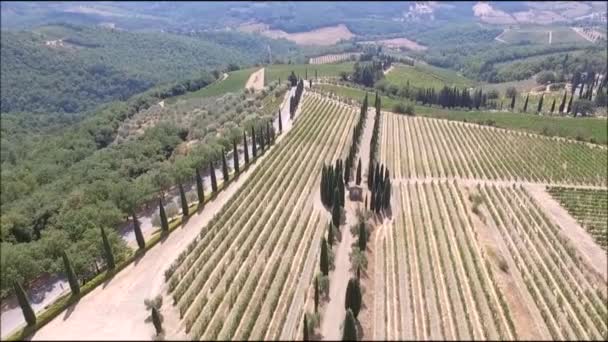 Volpaia Siena Itália Vinhas Toscana Ciprestes Vista Aérea — Vídeo de Stock