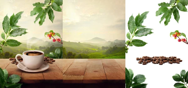 咖啡杯产品陈列在木制桌子上 上面摆放着平整的叶子和农田景观 — 图库照片