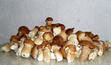 Ukrayna Porcini mantarlarının fotoğrafı.