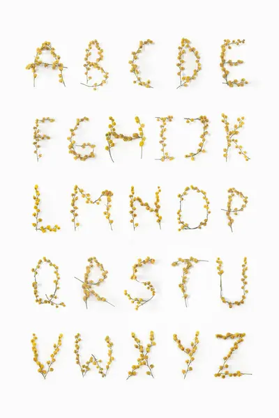 Flower Letter Alphabet Made Flowers Mimosa Yellow Flower Alphabet Layout — Stock Photo, Image