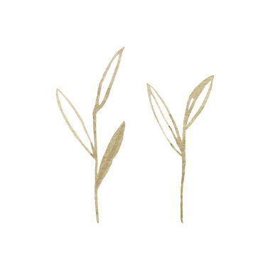 Basit soyut el çizimi suluboya yeşillik. Bahar botanik düz suluboya daldaki yaprakların çizimi. Kalıplar, çıkartmalar, davetiyeler, posterler, tebrik kartları için mükemmel.