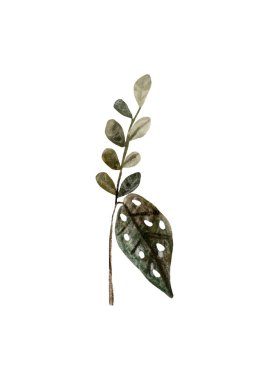 Toprak renklerinde basit yeşil yapraklar. Suluboya ve kalem el izole resimler çizdi. Botanik elementlere tırmanıyor. Menü için tasarım, Düğün Daveti, paket, kozmetik, tekstil