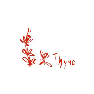 Mutfak dekorasyonu, ambalaj menüsü çıkartmaları ve eko markalar için bol botanik stili tuhaf kekik çizimi. Vektör illüstrasyonu.