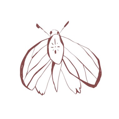 Soyut desenli kanatları olan ürkütücü Cadılar Bayramı güvesi çıkartmalar, dövmeler, kırtasiye malzemeleri, duvar sanatı ve sanat projeleri Vector illüstrasyonu için uygun.