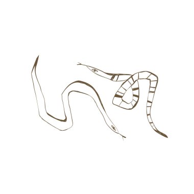 Bir dizi mistik el çizimi yılan çıkartmalar için mükemmel ev dekorasyonu, boho sanat ve sanat projeleri. Vektör çizimi. 