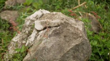 Kaya ve Çimen Çayırı sert rüzgarla savruluyor