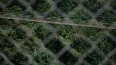 Arka planda açık yeşil orman ve ormanla birlikte hareket eden bir Görüntü çiti başka bir asma kablo köprüsüne bakıyor.