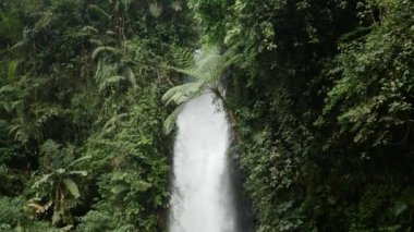 Yeşil tropikal ormandan ya da ormandan çağlayan şelale. Wisata situ gunung, Sukabumi, Batı Java, Endonezya