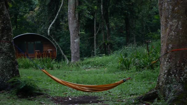 Hamac Jaune Mobile Milieu Forêt Avec Arbre Maison Camping Herbe — Video