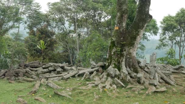 在印度尼西亚西爪哇Cianjur Gunung Padang的Megalithic遗址形成了有树木的岩层 碳的年代可以追溯到公元前5000年 甚至比金字塔还早 古代启示录古代金字塔 — 图库视频影像