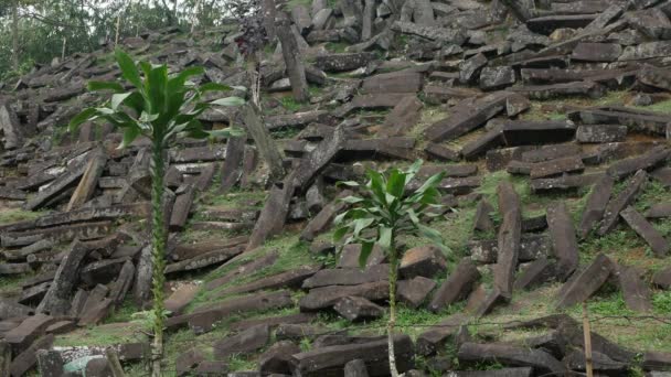 Árbol Verde Con Formación Rocas Sitios Megalíticos Gunung Padang Cianjur — Vídeos de Stock