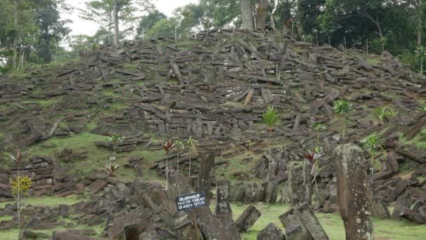 Planta Soprada Pelo Vento Sítios Megalíticos Gunung Padang Cianjur West — Vídeo de Stock