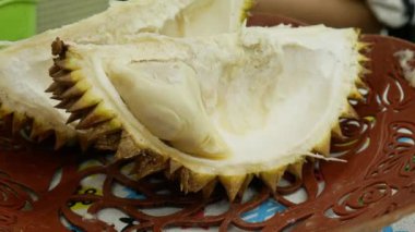 Elle alınan son meyveden sonra boş durian kabuğu