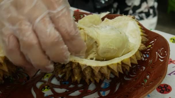 Take Durian Fruits Hands Eat — Stock Video