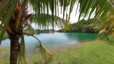 Güzel yeşil, hindistan cevizi ağacıyla mavi göl. Tasik Biru Gölü, Kuching, Sarawak Malezya