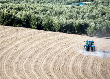 Bir traktör dalgalı bir tarlayı sürerken, arka planda bir zeytin korusu uzanıyor, kırsal işgücü ve Akdeniz tarımı sergileniyor..