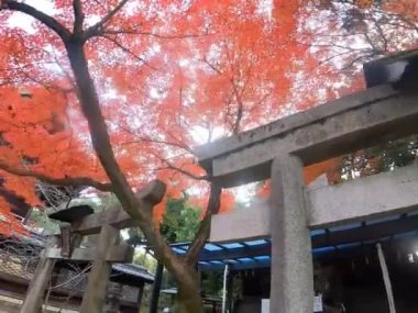 Sonbaharda Kyoto. Tapınak. Tapınağın girişi. Torii kapısı.