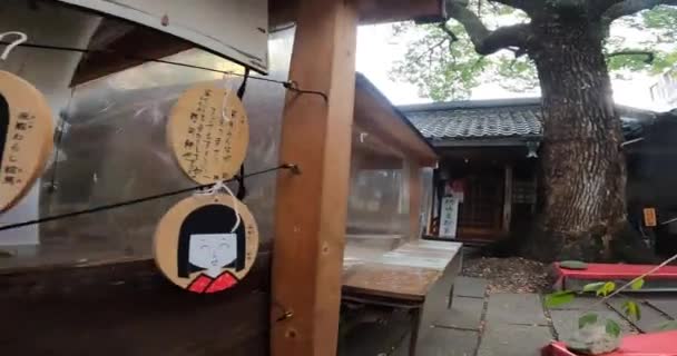 Japon Jour Automne Ema Dans Sanctuaire Divers Souhaits Sont Écrits — Video