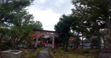 Kyoto, Japonya 'da sonbahar. Tarihi tapınak, Imahie Jingu. Yamaguchi Inari Tapınağı. Bir tilki heykeli, kırmızı torii kapısı, kırmızı tapınak köşkü.