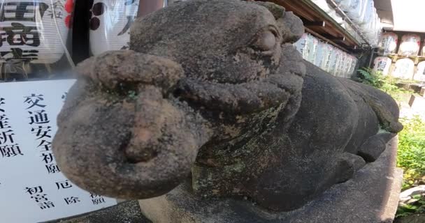 Okşayan Inek Taş Bir Inek Heykeli Birkaç Yüzyıl Önce Ithaf — Stok video
