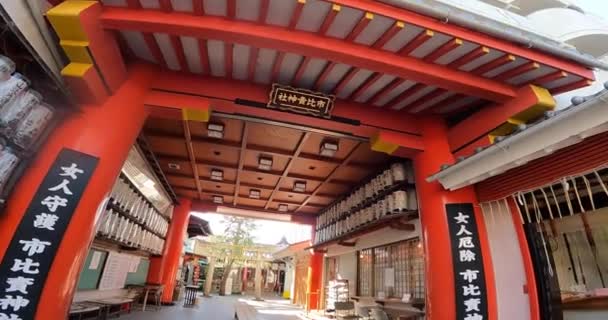 红色大门 红色柱子 环状大门 进入神龛的入口 敬献灯笼 远处的神龛亭 日本京都的神龛 — 图库视频影像
