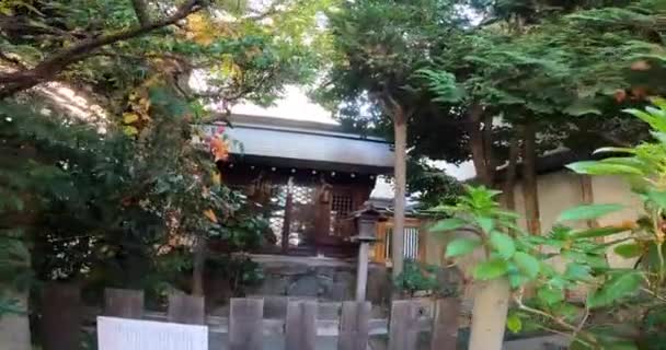 Japonya Nın Kyoto Şehrindeki Kyoto Daijingu Tapınağı Yapılan Hacca — Stok video