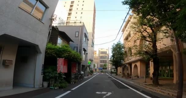 Drapeau Rouge Sanctuaire Asakusa Tokyo Japon Juko Inariun Petit Sanctuaire — Video