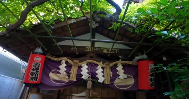 Rode Vlag Van Het Heiligdom Asakusa Tokio Japan Juko Inarieen — Stockvideo