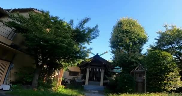 東京都浅草にある静かな神社 美しいチジ神社ガーディアン神社 — ストック動画