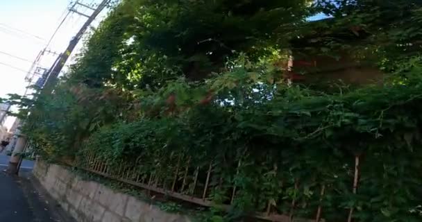 東京都浅草の静かな神社 緑の駐車場の外から見た伊勢神宮稲荷神戸通り 石ランタン神社鳥居 — ストック動画