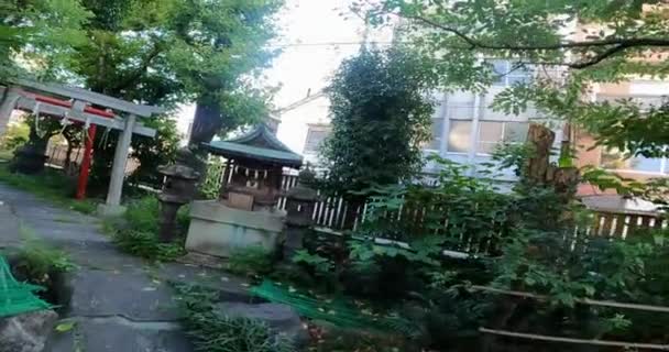 Atsuta Shrine Kleiner Schrein Itsukushima Shrine Shrine Woodenein Ruhiger Schrein — Stockvideo